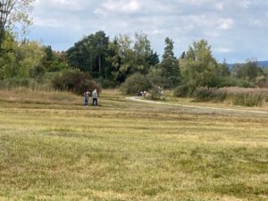Abkürzung durchs Schutzgebiet