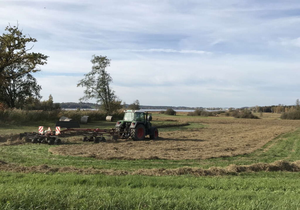 Riedpflege mit Traktor