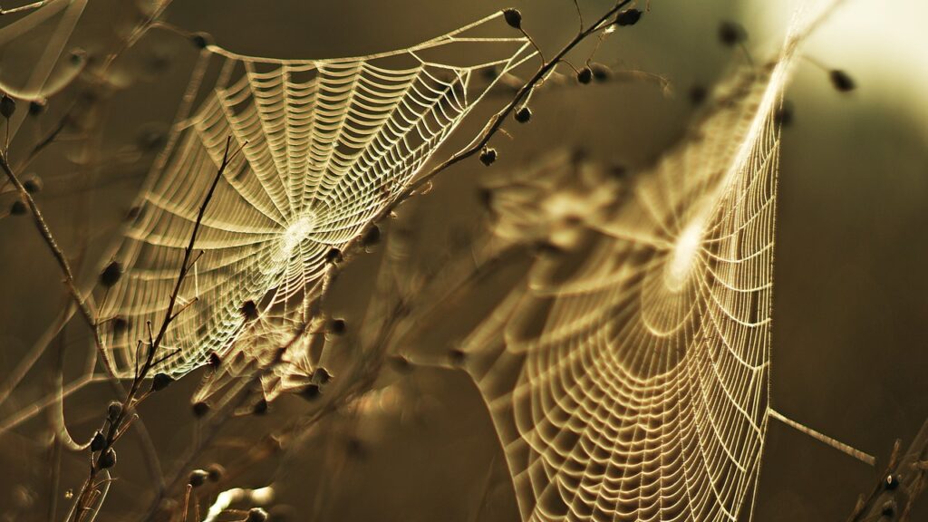 Natur ums Haus - Bionik