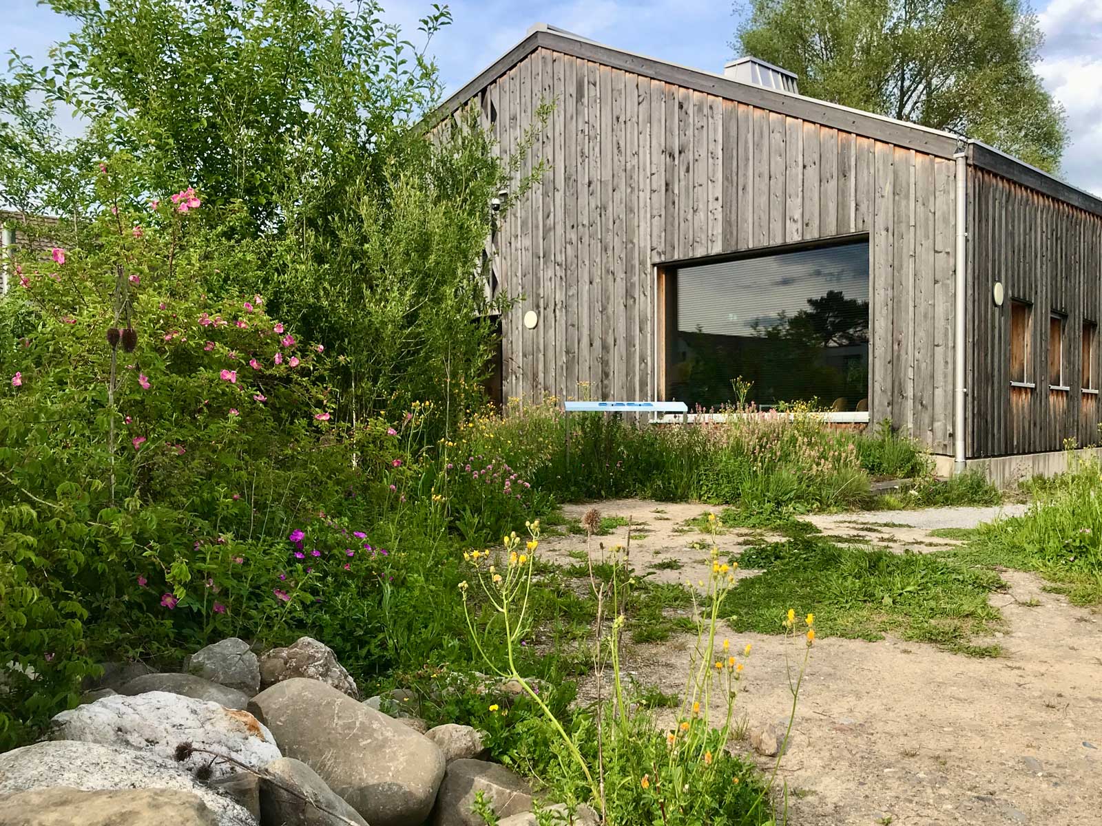 Offener Schmetterlingsgarten