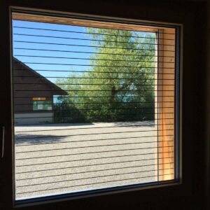 Augen auf! Vogelfalle Glas